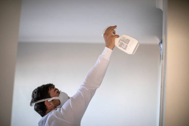 Best Fast Mold Removal  in East Islip, NY