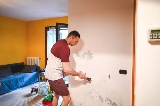 Best Affordable Mold Removal  in East Islip, NY